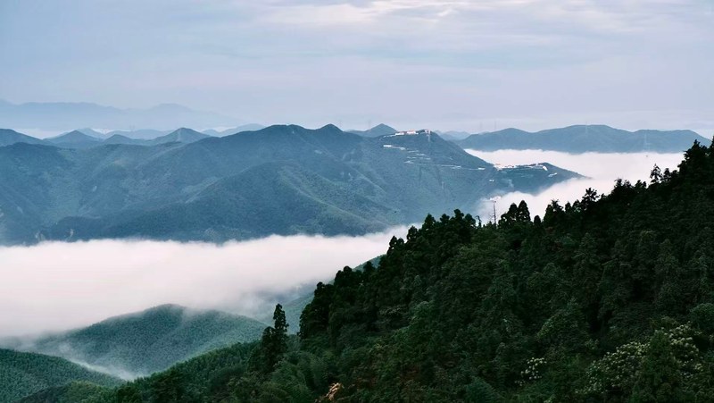 莫干山