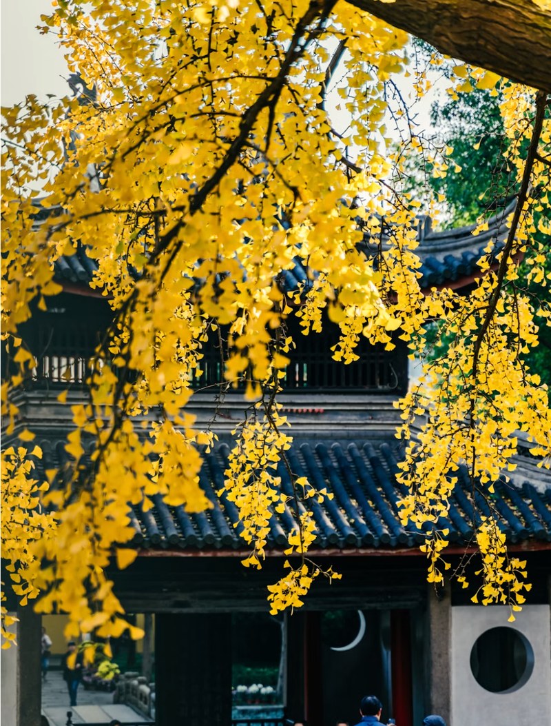 Ancestral Halls
