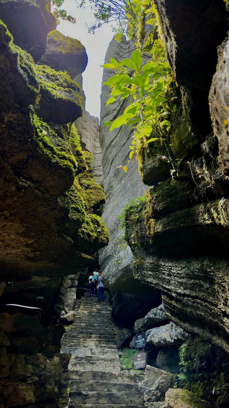 Natural Scenery