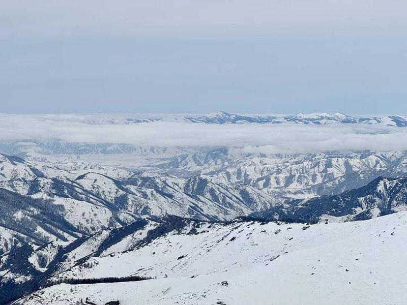 Altay