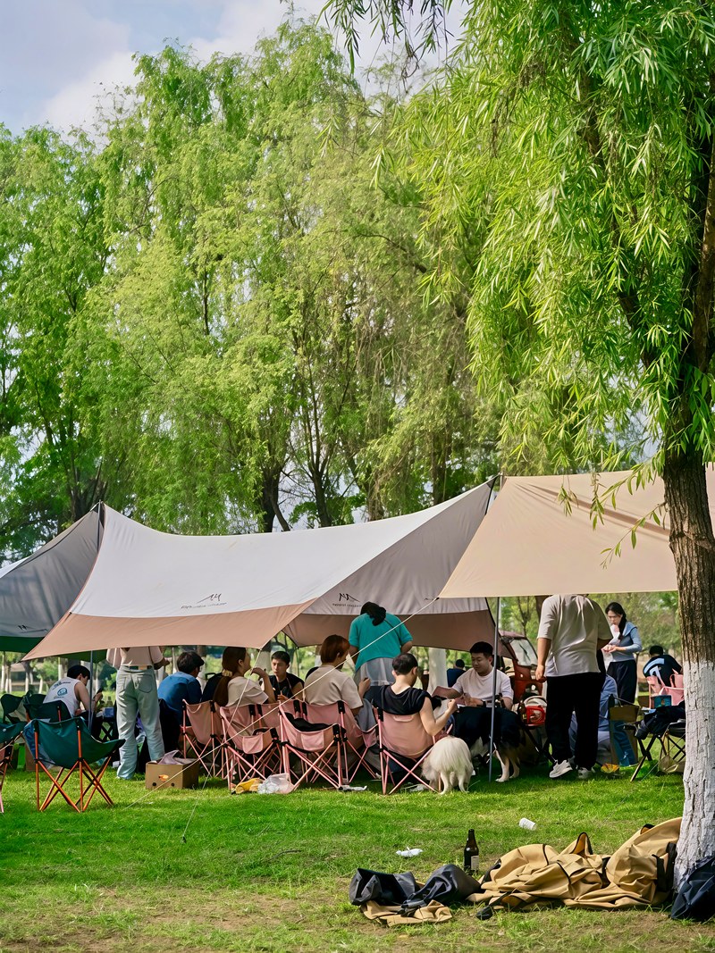 Community Culture