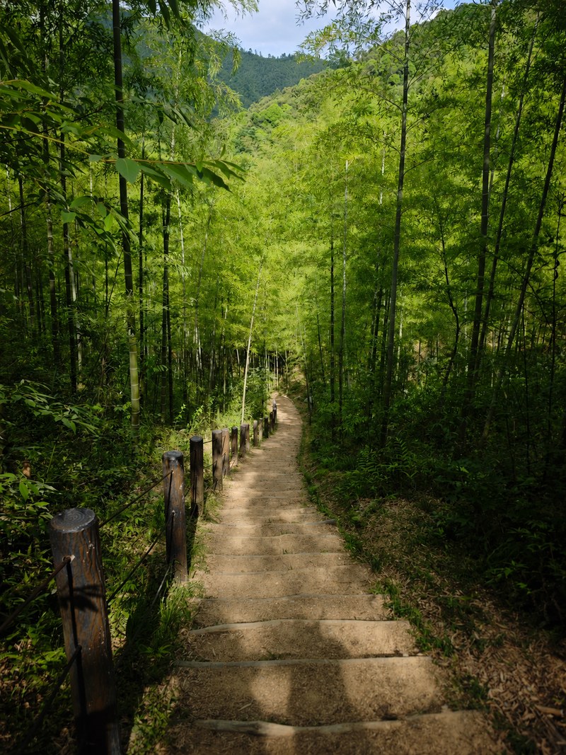Nature