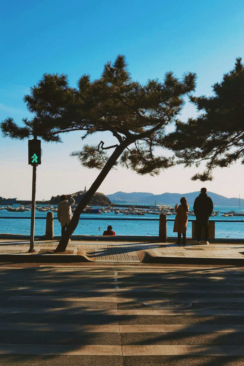 qingdao