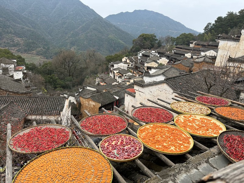 Terraces and the Sun-Drying Ritual