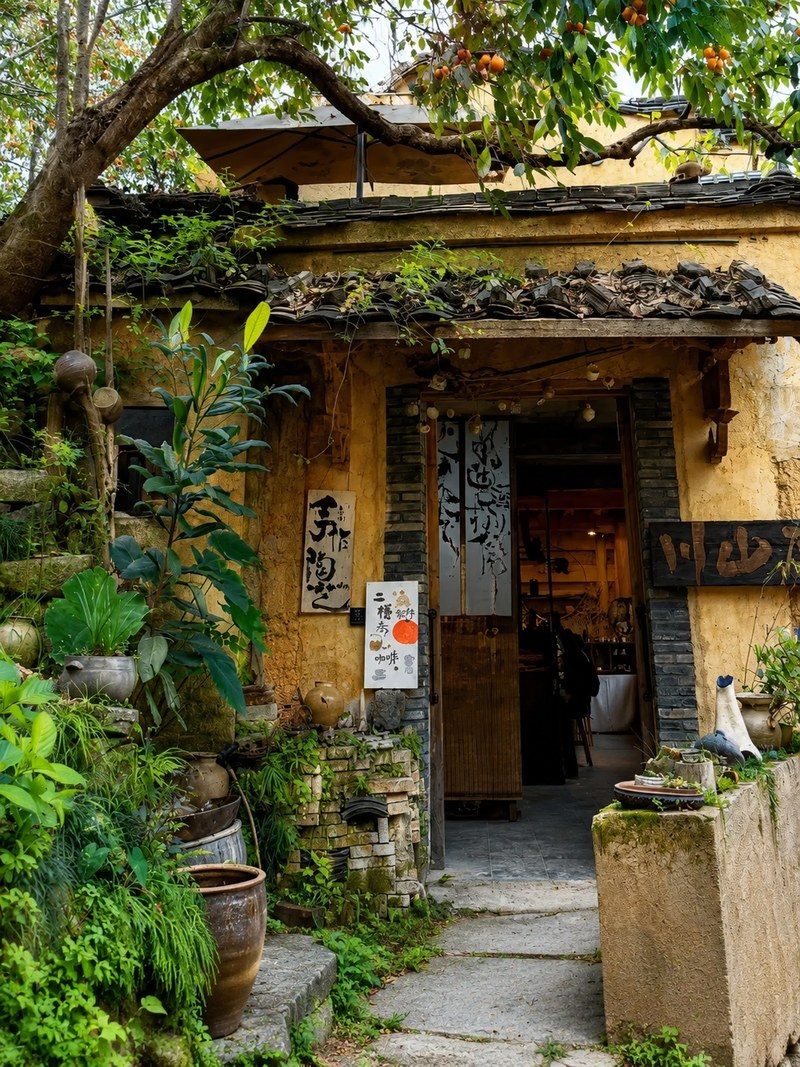 Reviving old houses